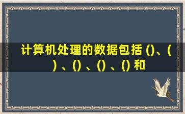 计算机处理的数据包括 ()、() 、() 、() 、() 和() 等